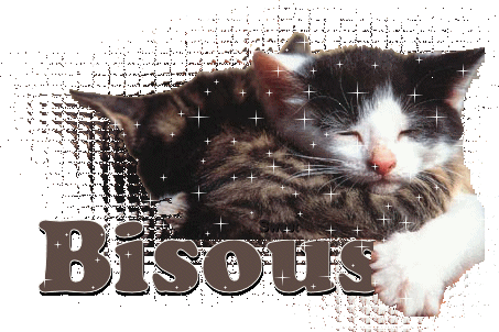 deux chats